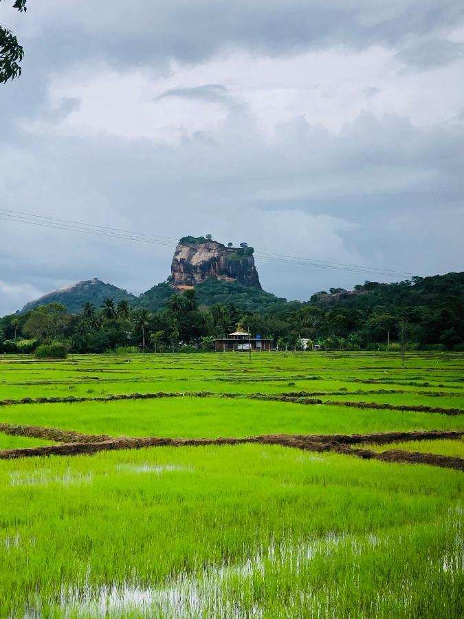 Sigiri Lion Eco Palace Sigiriya Dış mekan fotoğraf