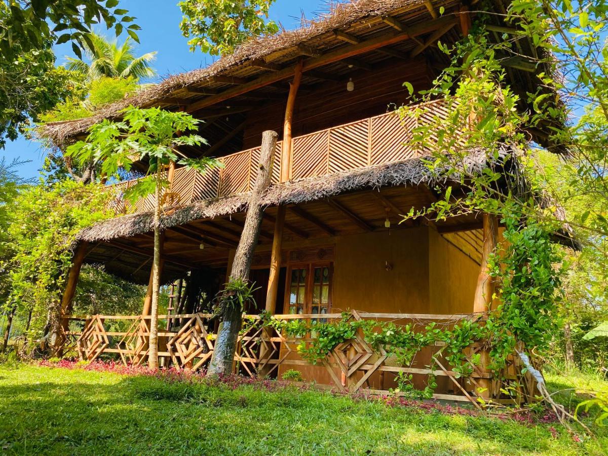 Sigiri Lion Eco Palace Sigiriya Dış mekan fotoğraf
