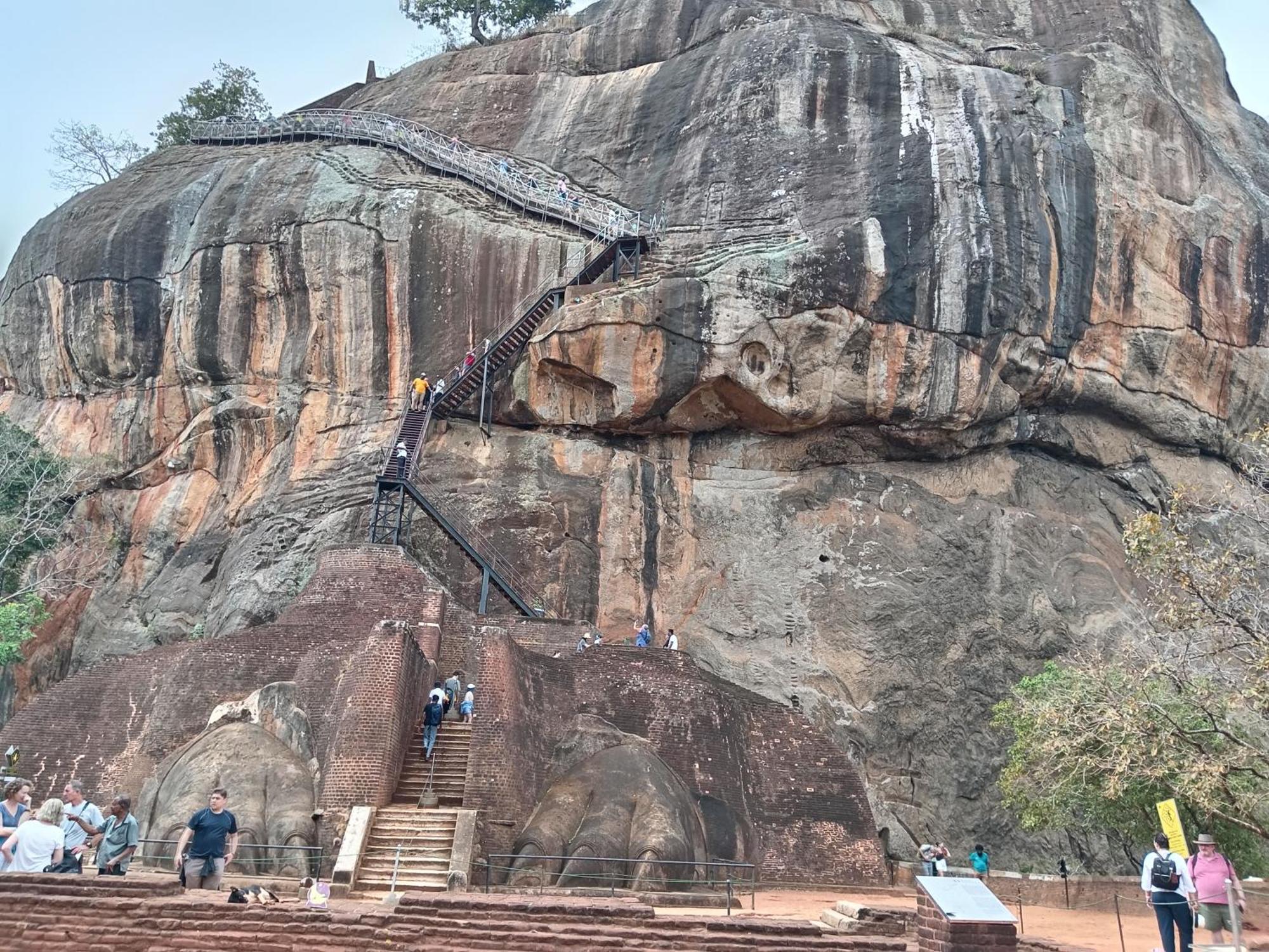 Sigiri Lion Eco Palace Sigiriya Dış mekan fotoğraf