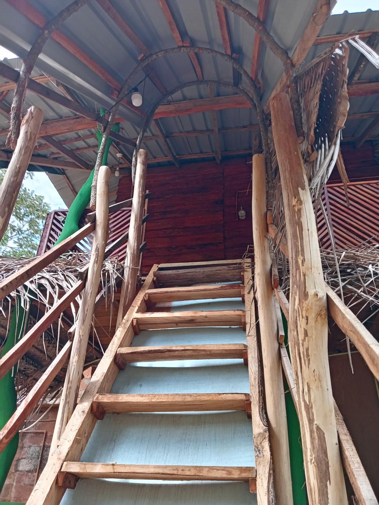 Sigiri Lion Eco Palace Sigiriya Dış mekan fotoğraf